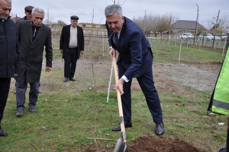 Biləsuvar şəhərində mənzil təsərrüfatının etibarlı dayağı, məsuliyyət və vicdan nümunəsi – Mənzil İstismar İstehsalat Sahəsinin rəisi Adıgözəl Məmmədov